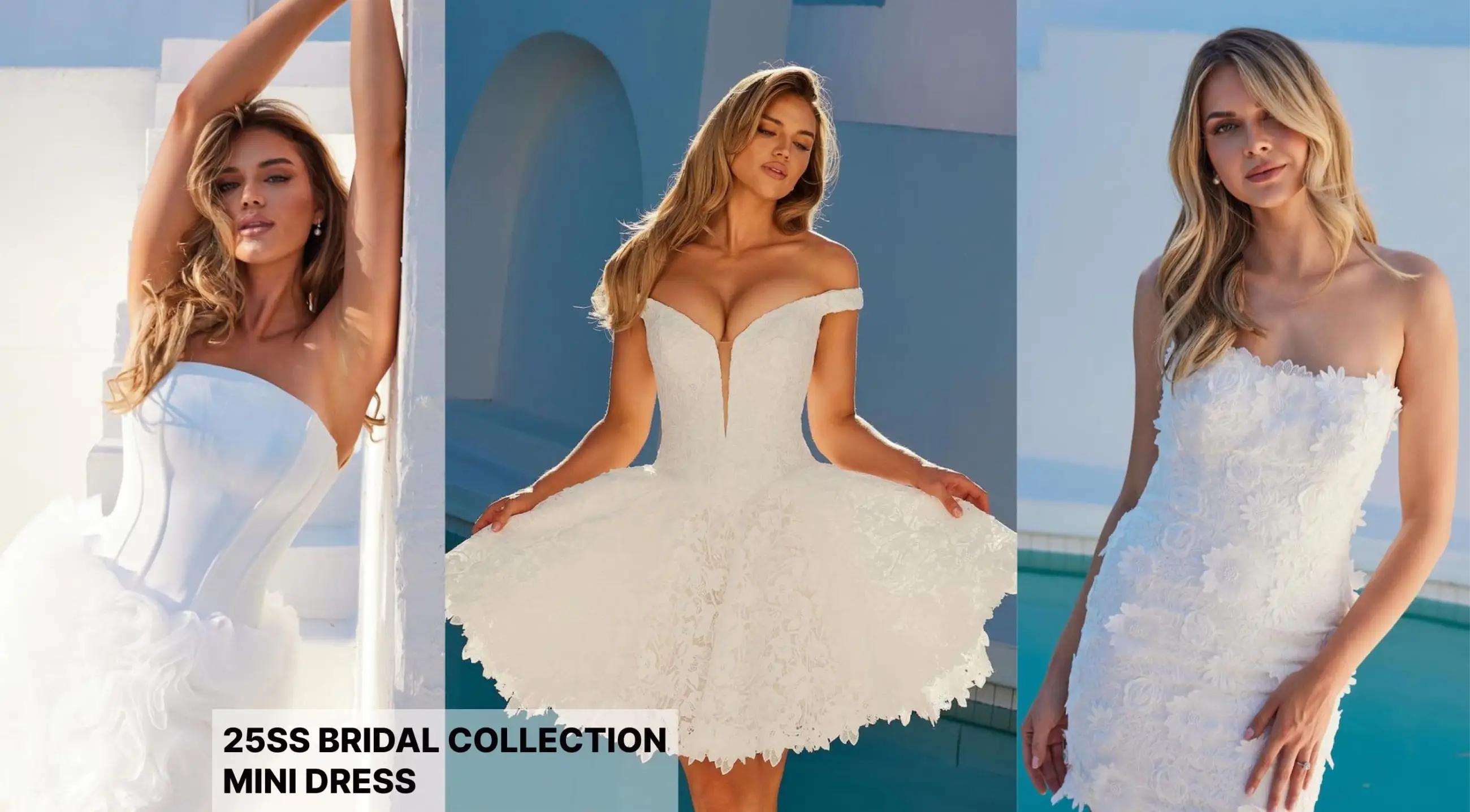 Bridal Collection Mini Dress desktop banner